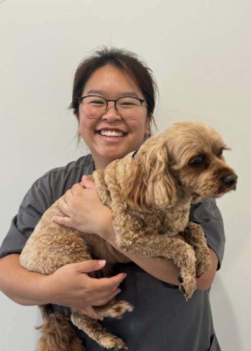 Dr Simone Chen