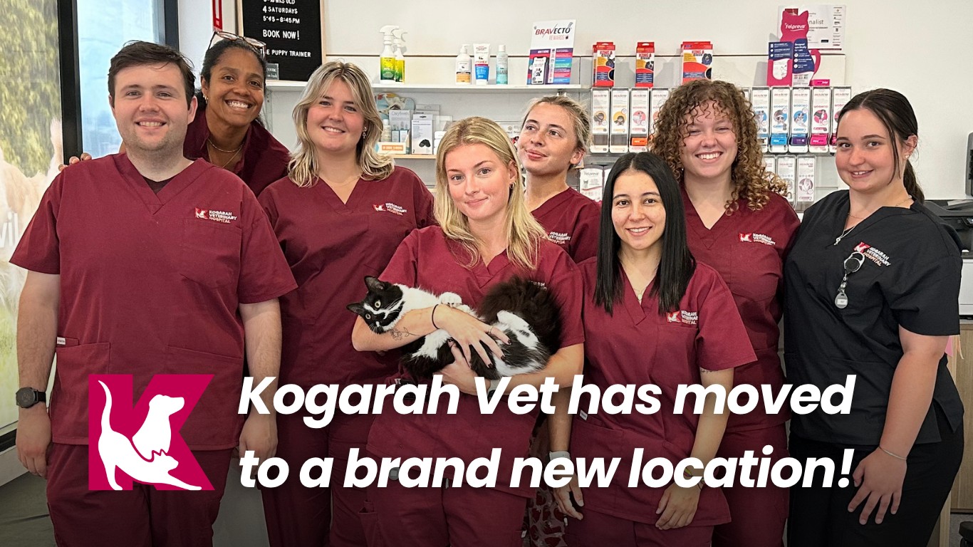 We’ve Moved!