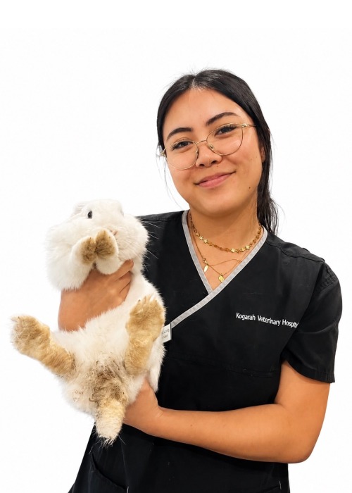 Dr Joanne Luong